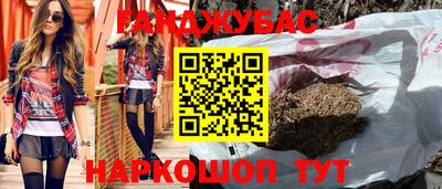 шишки Новозыбков