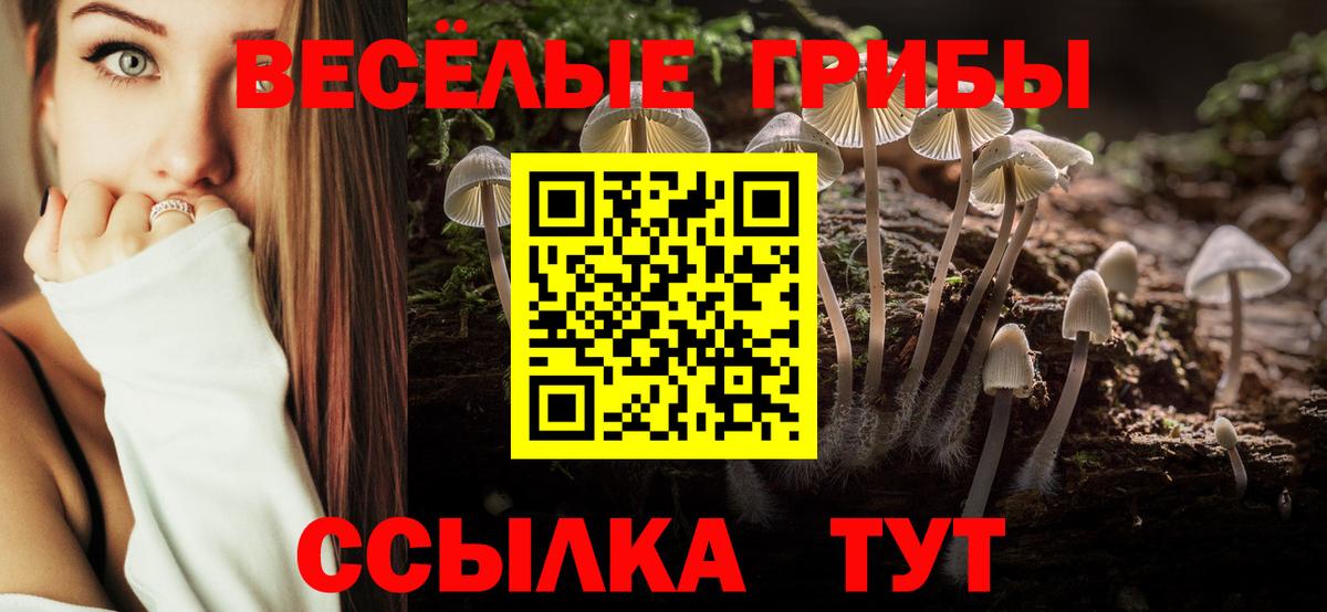 Псилоцибиновые грибы Psilocybine cubensis Великие Луки